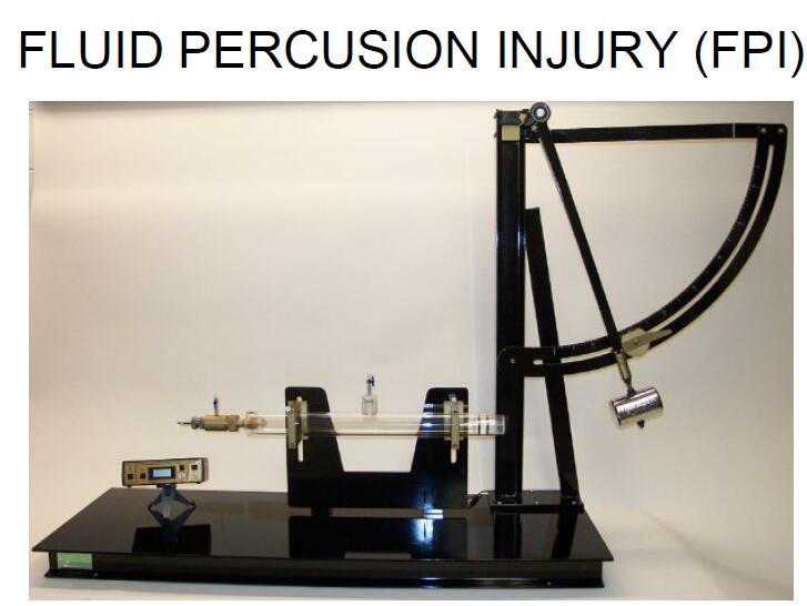 Fluid Percussion Injury
