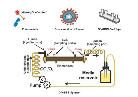 overview_of_technology