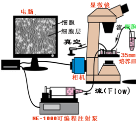 系统完整结构图