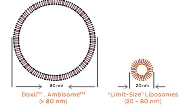 NanoAssemblr?微流控纳米载药颗粒包裹成型系统