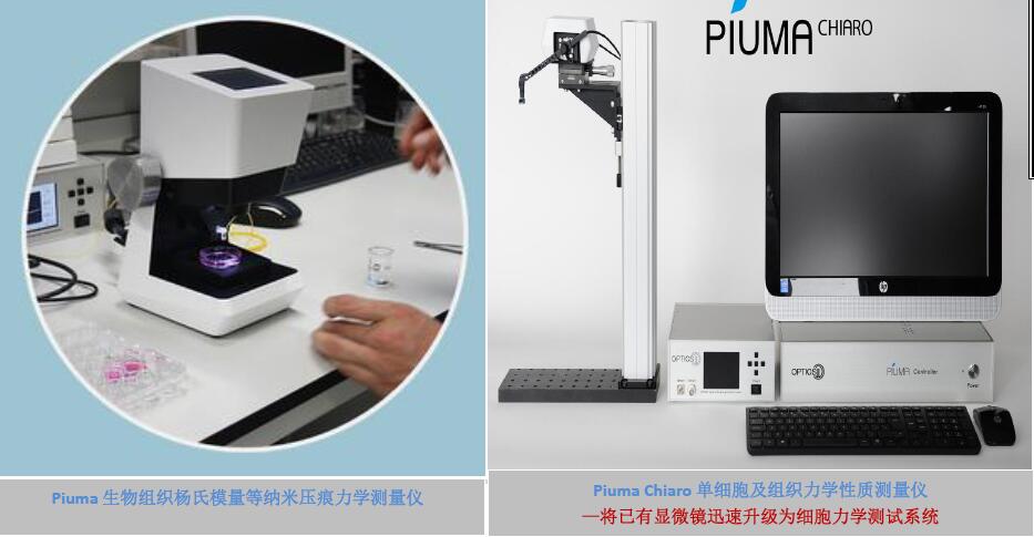 Piuma Chiaro: Nanoindentation on an inverted microscope