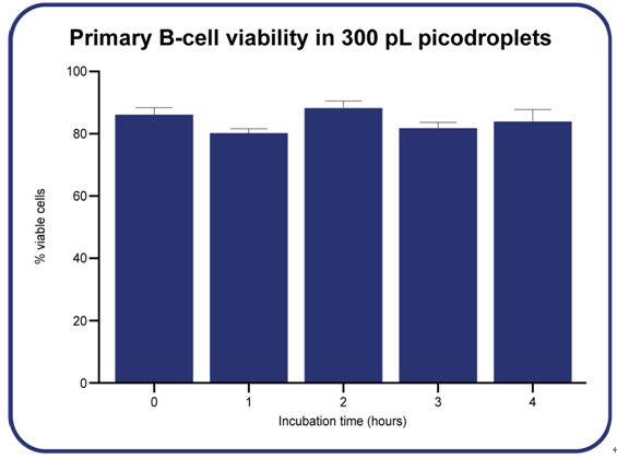 Primary B cell viability over four hours