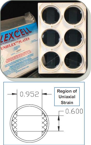 flexcell,UniFlexflexcell˫Ӧ壩