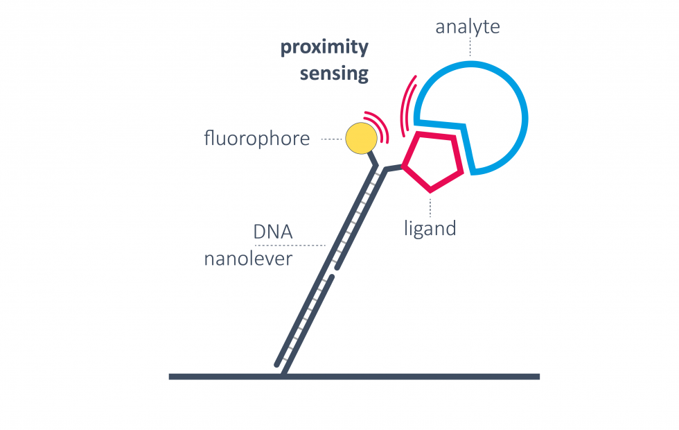 Proximity-sensing_1-980x620.png