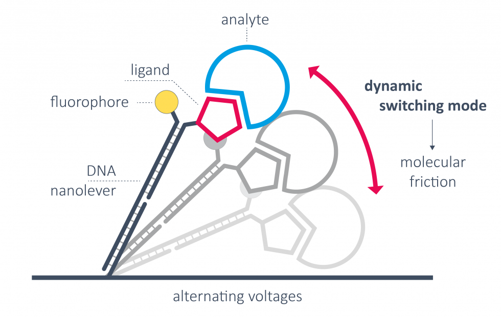 Dynamic-switching-mode_1-980x620.png