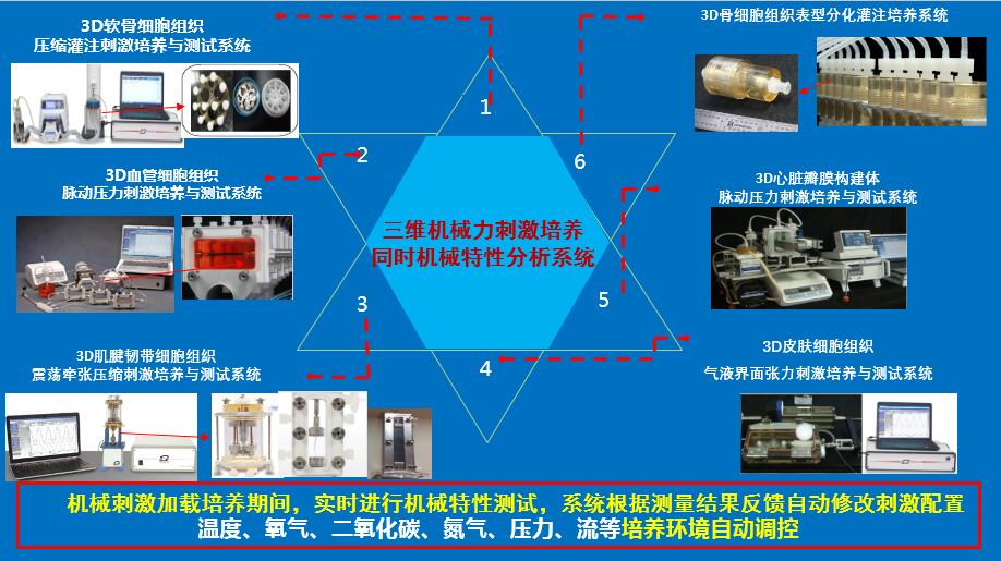 图片上传