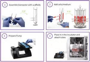 cellecbiotek,Ucup三维灌流培养系统，Ucup perfusion bioreactor,3D细胞组织灌注培养生物反应器系统