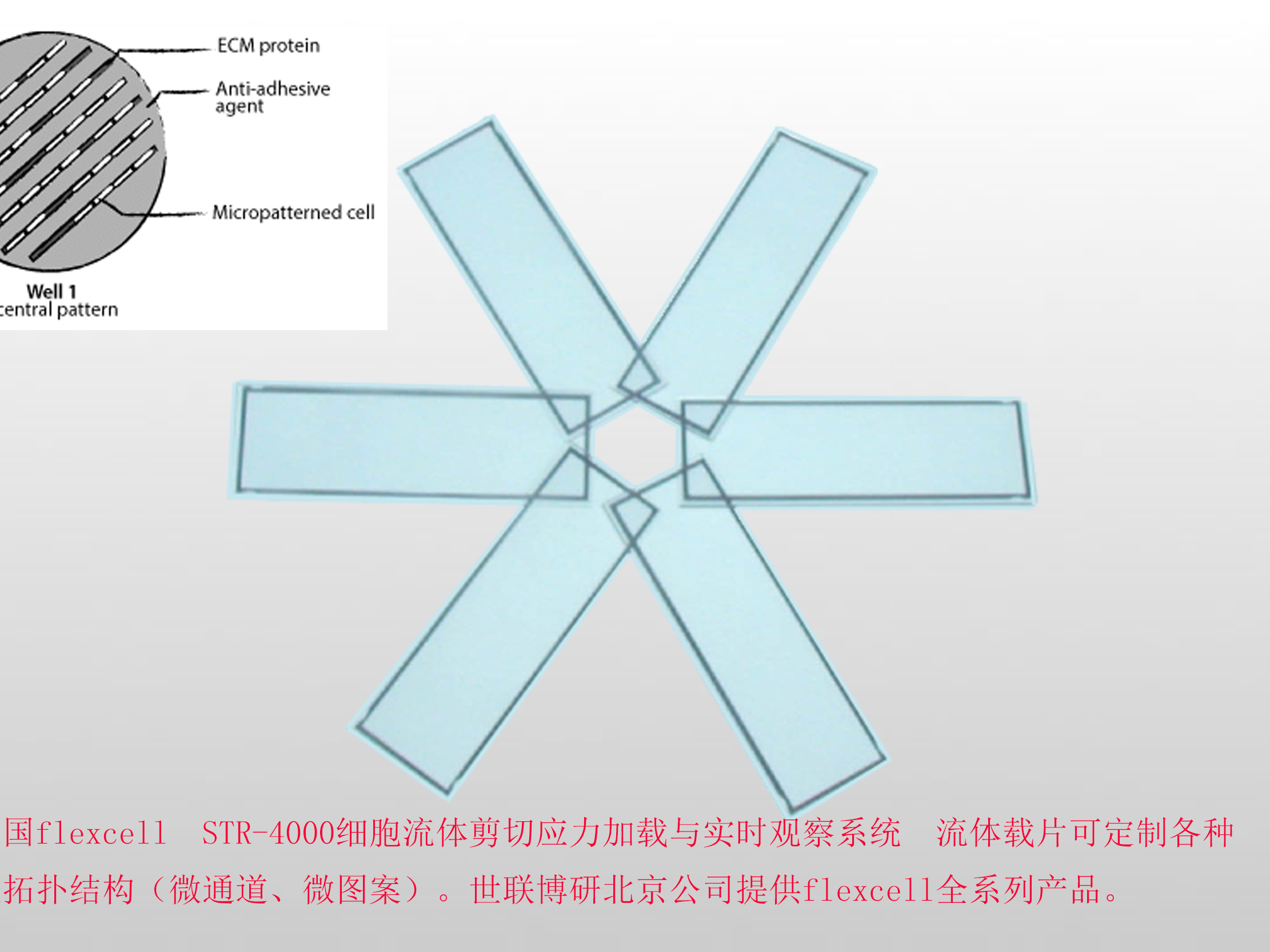 图片上传