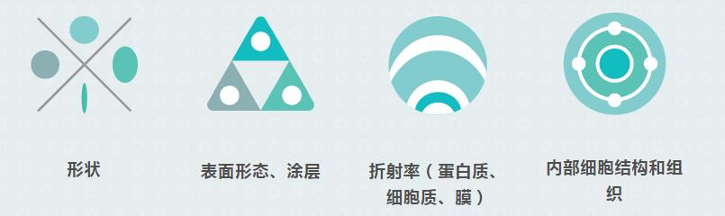 QQ截图20230405235515.jpg