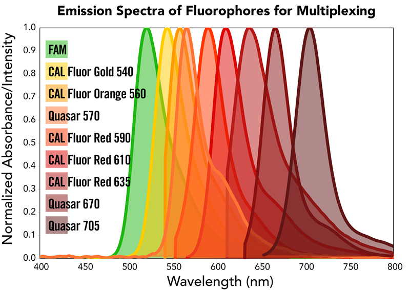 Normalized Emission Spectra
