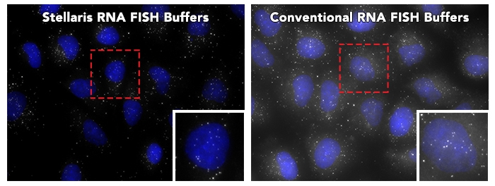 Stellaris buffers side by side