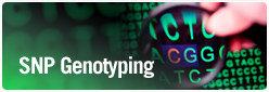 Genotyping qPCR