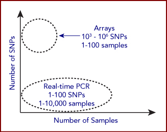SNP graph