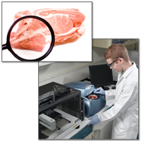 qPCR technician using Rotor-Gene thermal cycler