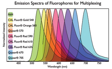 Fluorphore Emission Spectra