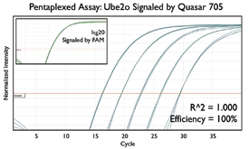 Quasar 705 Multiplex