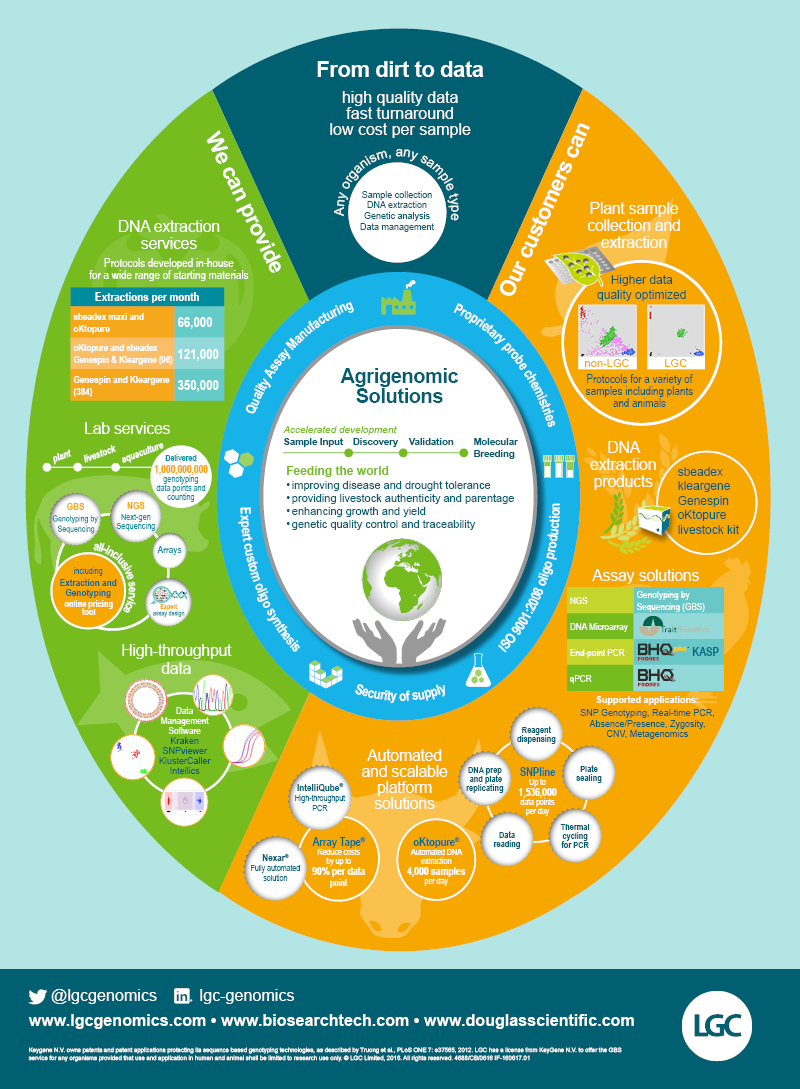 Accelerated breeding programs infographic