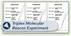 Triplex Molecular Beacon
