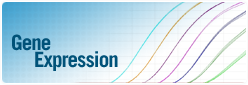 Gene Expression
