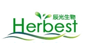 辰光
