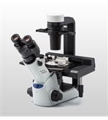 奥林巴斯倒置显微镜CKX53