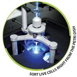 CellSorter高精准、自动单细胞抓取与实时分析系统