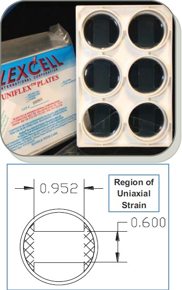 flexcell,UniFlex（flexcell双向应力培养板）