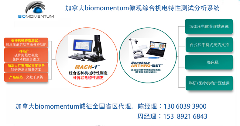 Accessories  Biomomentum