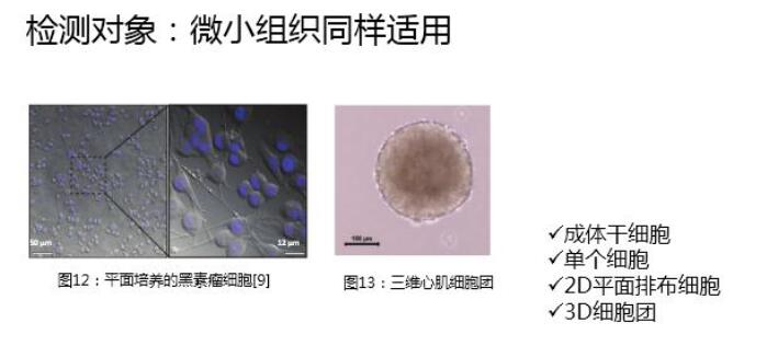 图片上传