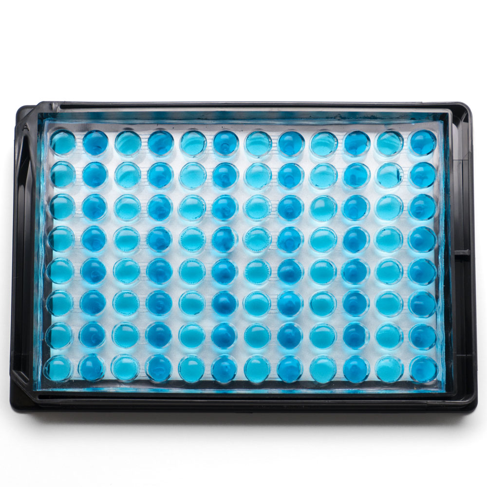 eNUVIO 的 EB-CLARIFY 的照片，这是一个 96 孔板，用于生成胚状体和处理球体，并进行任何必要的转移