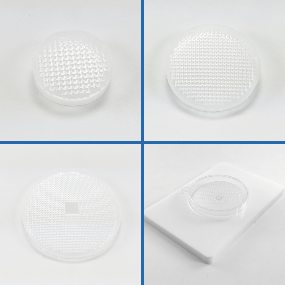 overview of eNUVIO EB-DISKs for embryoid body formation.