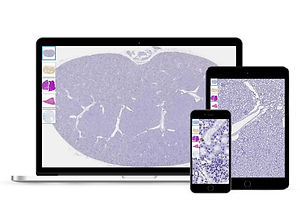 Instaslide telepathology slide sharing